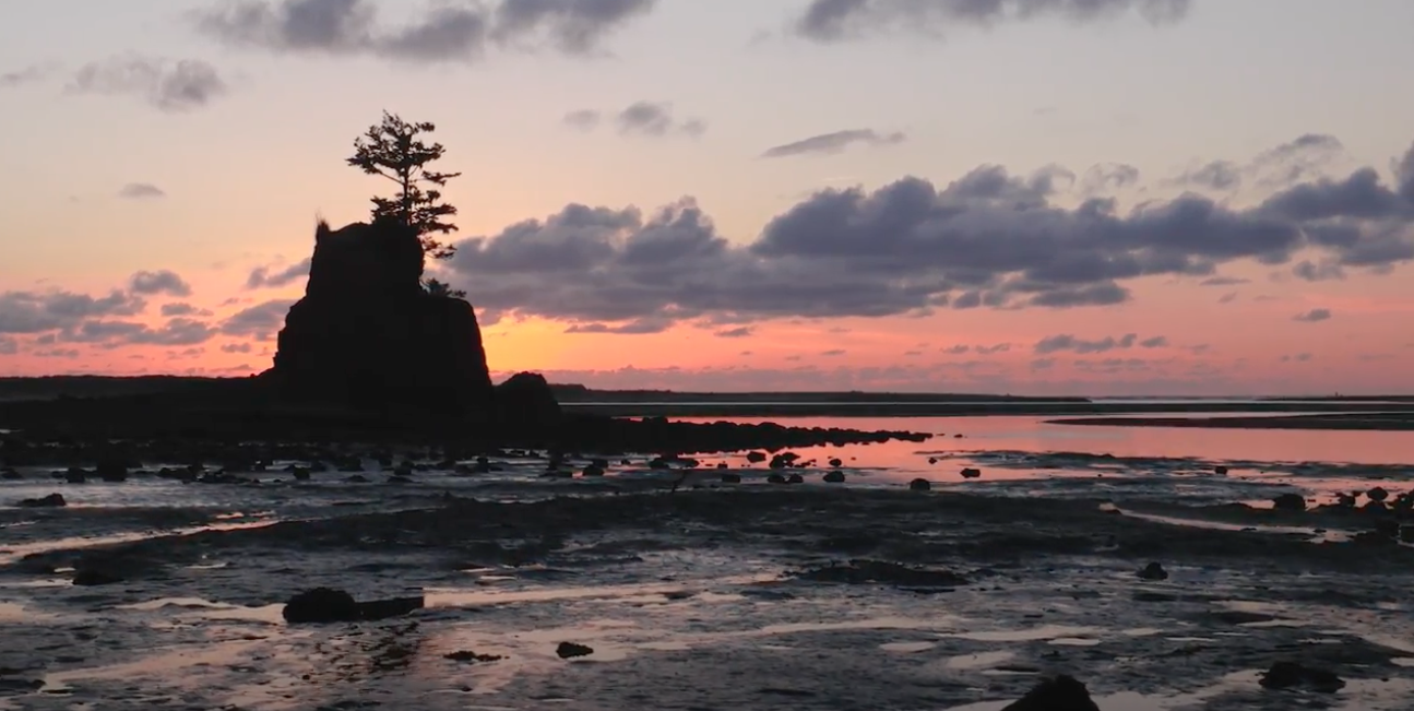 Stunning Oregon Coast sunset with silhouetted rock formations and colorful sky reflected on wet sand